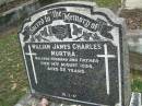 William James Charles MURTHA,
husband father,
died 14 Aug 1954 aged 52 years;
Pimpama Uniting cemetery, Gold Coast