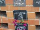 Ethel Maud JAMES,
mother,
died 14-8-93 aged 73 years;
Pimpama Uniting cemetery, Gold Coast