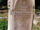 Catherine, wife of James CAREW,
died 3 Feb 1902 aged 61 years;
Mary-Ann, daughter,
died 9 July 1972 aged 8 years;
James CAREW,
died 17 July 1907 aged 69 years;
Mary Louisa CAREW,
wife of D. CAREW,
died 9 June 1935 aged 70 years;
Pine Mountain Catholic (St Michaels) cemetery, Ipswich