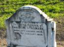 
Christian STALLMANN
b: 27 Aug 1858, d: 7 Jan 1928
Plainland Lutheran Cemetery, Laidley Shire
