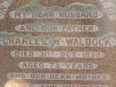Charles W. WALDOCK,
husband father,
died 31 Oct 1932 aged 73 years;
Rose Ann WALDOCK,
mother,
died 4 Aug 1943 aged 78 years;
Polson Cemetery, Hervey Bay