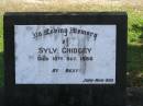 Sylv. CHIDGEY,
died 10 Oct 1950,
remembered by John, mum & dad;
Polson Cemetery, Hervey Bay
