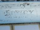 Kenneth James LOWRY,
born 24 Dec 1945,
accidentally killed 24 Dec 1964?;
Polson Cemetery, Hervey Bay