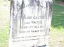 Pauline BALTZER (nee WALTER),
born 13 Dec 1881 died 19 March 1927;
Ropeley Immanuel Lutheran cemetery, Gatton Shire