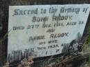 John REDDY,
died 27 Dec 1916 aged 55 years;
Annie REDDY, wife,
died 31 Dec 1933 aged 70 years;
Rosevale St Patricks Catholic cemetery, Boonah Shire