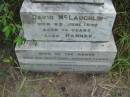 
David MCLAUGHLIN,
died 23 June 1899 aged 74 years;
Hannah, wife,
died 26 July 1900 aged 69 years;

Rosevale Methodist, C. Zahnow Road memorials, Boonah Shire

