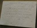 Alice M. WEBBER,
died 25 Dec 1954;
Alfred F. WEBBER,
died 15 July 1964;
Bald Hills (Sandgate) cemetery, Brisbane
