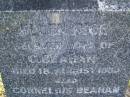 Ellen Rice,
wife of C. BEAHAN,
died 18 Aug 1935;
Cornelius BEAHAN,
died 21 Jan 1937;
Bald Hills (Sandgate) cemetery, Brisbane