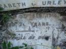 David,
husband of Elizabeth GOURLEY,
died 9 Feb 1916 aged 70 years;
Bald Hills (Sandgate) cemetery, Brisbane