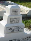 Doris Edith COLLINS,
wife mother,
died 26 July 1953 aged 38 years;
Denise Annette COLLINS,
died 15 Nov 1963 aged 22 years;
Bald Hills (Sandgate) cemetery, Brisbane