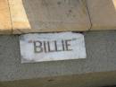 William (Billie) Felix,
son of William & Phyllis MCCREADY,
died 20 Jan 1952 aged 20 years;
Bald Hills (Sandgate) cemetery, Brisbane