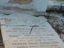 Joseph CARSELDINE,
born 13 Oct 1855,
died 5 June 1919;
Harold Edwin CARSELDINE,
son,
killed in action Gallipoli
8 Oct 1915 aged 23 years;
Vernon David CARSELDINE,
son,
drowned surfing Bribie
2 April 1920 aged 23 years;
Sarah Agnes CARSELDINE,
wife mother,
died 16 Aug 1929 aged 73 years;
Bald Hills (Sandgate) cemetery, Brisbane