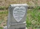 Garnet Dudley HILLIER
Jun 10 1910 to May 9th 1926
Sherwood (Anglican) Cemetery, Brisbane
