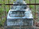 Sarah KENNEDY
12 Jul 1898
aged 48
John P SHERLOCK
26 Apr 1908
aged 54
Annie Maria SHERLOCK
1 Jul 1921
aged 71
Sarah H KENNEDY
12 Jul 1897
aged 54
John P SHERLOCK
6 Apr 1908
aged 52
Annie Maria SHERLOCK
1 Jul 1921
aged 71
John Patrick KENNEDY
22 May 1931
aged 59
Tamborine Catholic Cemetery, Beaudesert