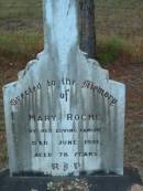 Mary ROCHE
June 1951
aged 78
Tamborine Catholic Cemetery, Beaudesert