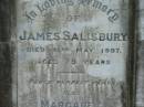 James SALISBURY
31 May 1907, aged 79
Margaret
(wife of) James SALISBURY
3 Jun 1927, aged 81
(daughter) Rebecca Morgan SALISBURY
20 May 1962, aged 76
(son) gunner Wm SALISBURY
(killed in action, France)
20 Jul 1917, aged 35
Tamrookum All Saints church cemetery, Beaudesert