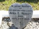 Avril D. HERBST (Baby), daughter sister,
died 24 Sept 1945;
Tarampa Apostolic cemetery, Esk Shire