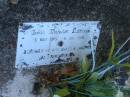 
Freda Marsden LOFTHOUSE,
5 May 1915 - 6 July 1976;
Tea Gardens cemetery, Great Lakes, New South Wales
