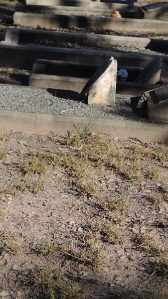 The Gums Cemetery  | 