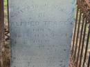 Alfred TRASEY,
born 18 July 1811;
died 22 Sept 1878;
Tiaro cemetery, Fraser Coast Region