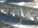James REID,
died 27 Jan 1884 aged 42 years;
James,
son,
aged 4 months;
William,
son,
aged 11 years;
erected by wife Ellen REID;
Tiaro cemetery, Fraser Coast Region