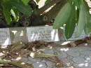 Eva M.V. GUY died 21 Mar 1937 aged 36 years,
Tingalpa Christ Church (Anglican) cemetery, Brisbane