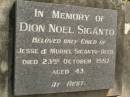 
Dion Noel SIGANTO,
only child of Jesse & Muriel SIGANTO (decd),
died 23 Oct 1987 aged 43 years;
Upper Coomera cemetery, City of Gold Coast
