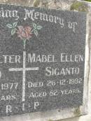 
John Walter SIGANTO,
died 22-3-1977 aged 71 years;
Mabel Ellen SIGANTO,
died 26-12-1992 aged 82 years;
Upper Coomera cemetery, City of Gold Coast
