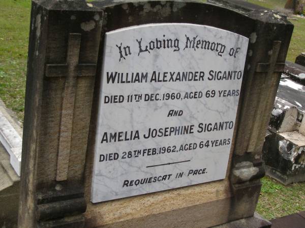 William Alexander SIGANTO,  | died 11 Dec 1960 aged 69 years;  | Amelia Josephine SIGANTO,  | died 28 Feb 1962 aged 64 years;  | Upper Coomera cemetery, City of Gold Coast  | 