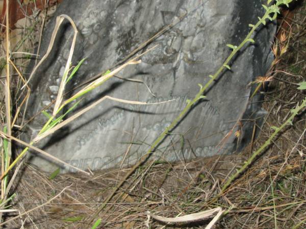 Friedrich Wilhelm SCHULTZ  | geb Oct 20 1839  | gest Juni 13 1906  | Vernor German Baptist Cemetery, Esk Shire  | 