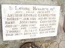 
parents;
Arthur George CARPENTER,
died 19 Jan 1926 aged 46 years;
Mary Josephine CARPENTER,
died 18 June 1947 aged 67 years;
Thomas Joseph CARPENTER,
brother,
died 30 April 1936 aged 24 years;
Warra cemetery, Wambo Shire
