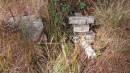 
Thomas COOK
d: 29 Jul 1913 aged 85

Willsons Downfall cemetery,Tenterfield, NSW

