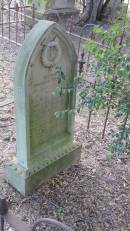 George Thomas PETERS
son of J and C.M.V. PETERS
d: 26 Dec 1890 aged 16 mo and 26 days
Yandilla All Saints Anglican Church with Cemetery