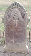 Mary Selina BOUGOURE
d: 9 Dec 1888 aged 21
daughter of D.G. and M.S. BOUGOURE
Yandilla All Saints Anglican Church with Cemetery