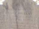 
Henry HILLERY,
husband,
born Sydney 17 Sept 1845
died Emu Vale 4 Nov 1893;
Yangan Anglican Cemetery, Warwick Shire
